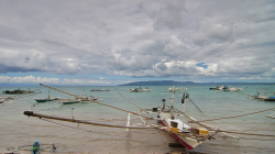 Dovolená bez mangrovů? Nesmysl! / Holidays without Mangroves? Nonsense!