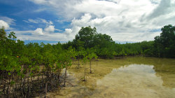 Kdesi na okraji Panglao / Somewhere on the edge of Panglao