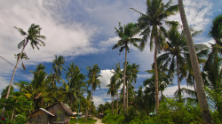 Následky Zemětřesení / Earthquake Consequences