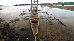 Svatební kára / Wedding car