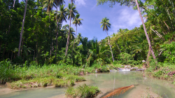 Vodopád Cambugahay / Cambugahay waterfall