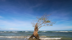 Solitér / Solitaire