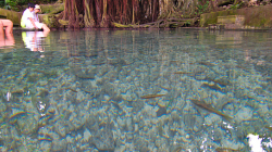 S rybkama / With the fish