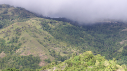 V kopcích / In the hills