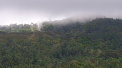 V kopcích / In the hills