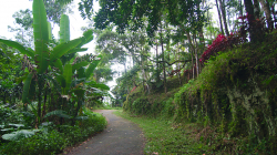 V kopcích / In the hills