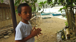 Schovával se s námi před deštěm / He was hiding from the rain with us