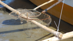 U řeky Sipalay / By Sipalay river