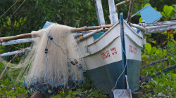 U řeky Sipalay / By Sipalay river