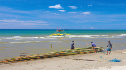 Nakládka dřeva / Wood loading