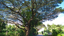 U silnice / By the road