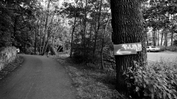 Ruins Of Intolerance #005