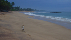 Ráno v Tangalle - Tangalle morning