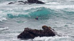 Chytač chobotnic ve vlnách - Octopus catcher in the waves