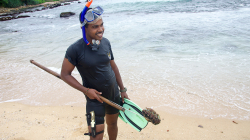 Chobotnici nenašel, škeble musí stačit - No octopus that morning, seashell is enough