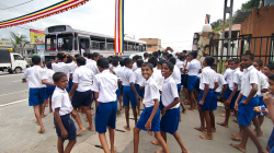 Všichni do jednoho busu - All of them into one bus