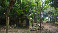 Objevil jsem v lese - I found it in the woods