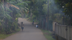 Venkov - Countryside