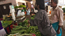 Nákup zeleniny - Vegetables selling