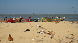 Rybáři - Fishermen