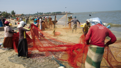Rybáři - Fishermen