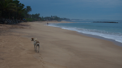Ráno v Tangalle / Tangalle morning