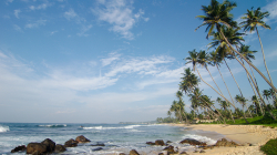 Ráno v Mihiripenna / Mihiripenna morning