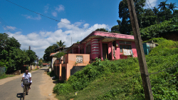 Růžová ulice / Pink street