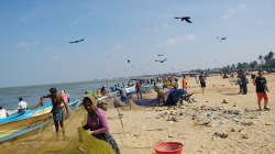 Rybí trh v Negombu / Negombo fish market