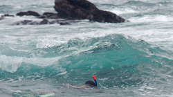 Lovec chobotnic, ten den neměl štěstí / Octopus hunter, no luck that day