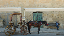 Povoz ve Vallettě - Valletta carriage