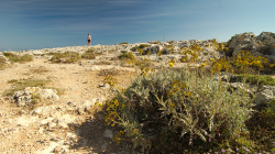 Nad útesem u Dingli - Above Dingli cliff