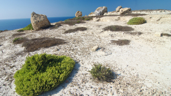 Pěší výlet na Gozu, přes den to nezkoušejte - Hiking trip on Gozo, don't try it during day