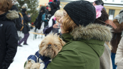 Roztocký masopust 2016