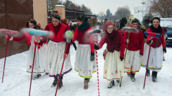 Roztocký masopust 2016