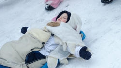 Roztocký masopust 2016