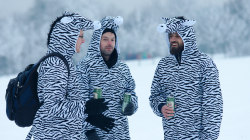 Roztocký masopust 2016