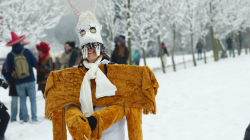 Roztocký masopust 2016