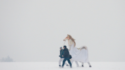 Roztocký masopust 2016