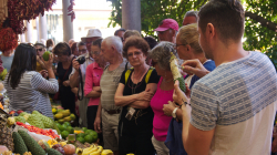 Mercado dos Lavradores