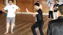 13 Forem - Taiji Akademie