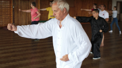 13 Forem - Taiji Akademie