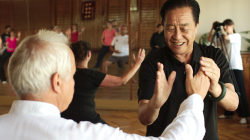 13 Forem - Taiji Akademie