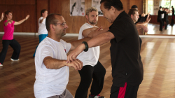 13 Forem - Taiji Akademie