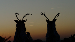 Masopust Roztoky 2019