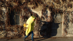 Hlubočepský Masopust 2019