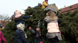 Masopust Roztoky 2020