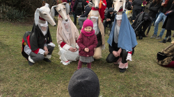 Masopust Roztoky 2020