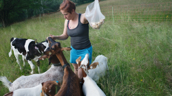 Jablonec nad Jizerou