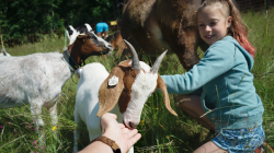 Jablonec nad Jizerou